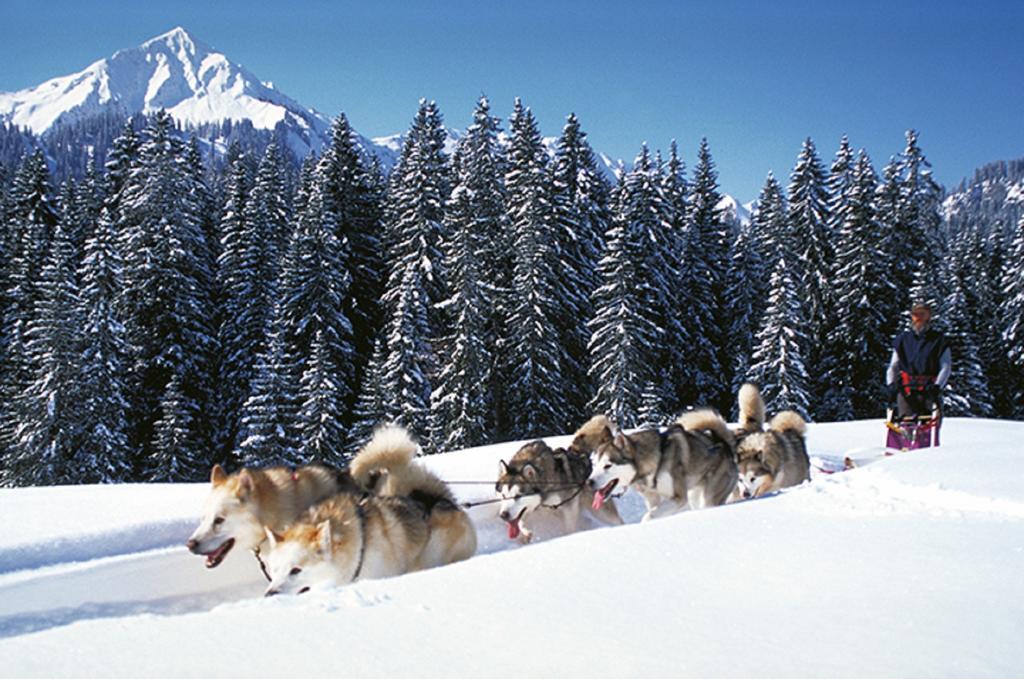 Alpen Select Lodge Kleinwalsertal 리즐런 외부 사진
